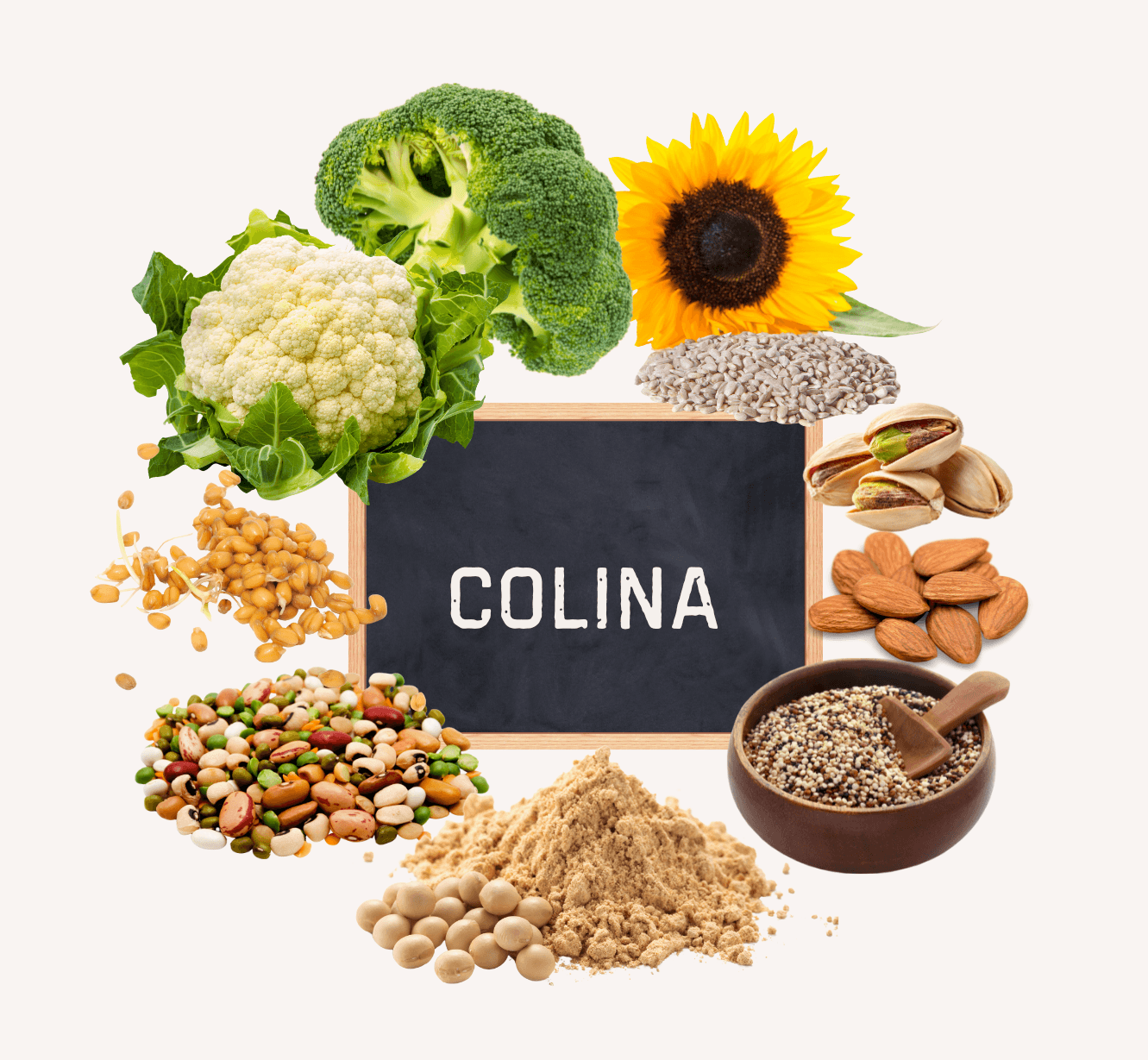 La colina, un nutriente clave en el embarazo del que poco se habla