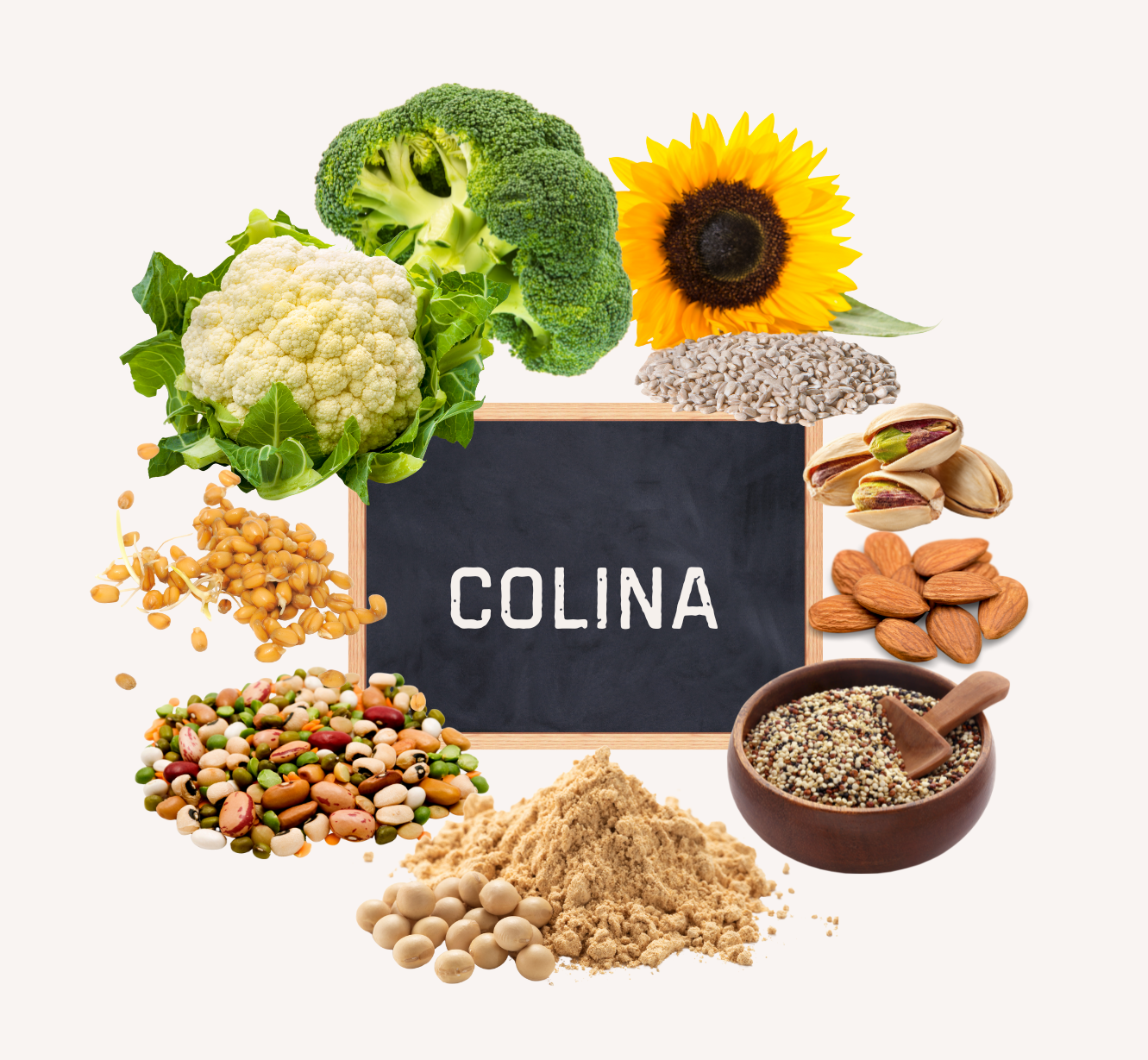 LA COLINA, UN NUTRIENTE CLAVE EN EL EMBARAZO DEL QUE POCO SE HABLA
